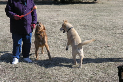 Chopper & Arthur