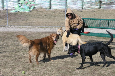 Cuda, Arthur & Lucy