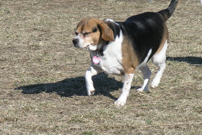 Molly