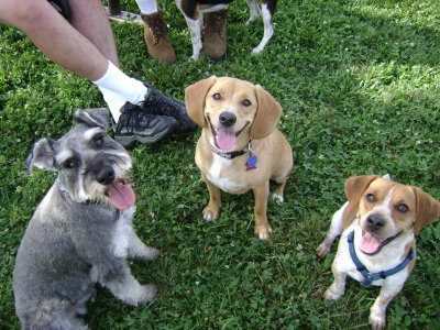 Darby and Dulce with their friend, Diego .jpg