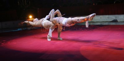 Festival international du cirque, backstage