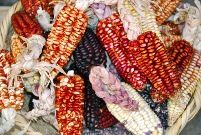 Colored Corn- North Argentina