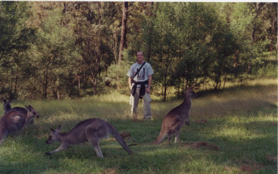 Kangaroos- Australia
