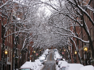 Snow afternoon Boston