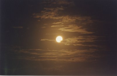 moon New Zealand