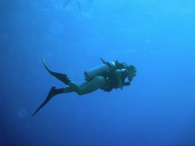 Diver - Antigua