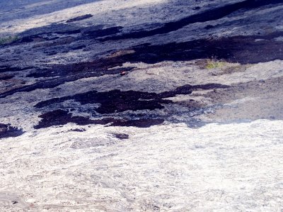 Lava Field Hawaii