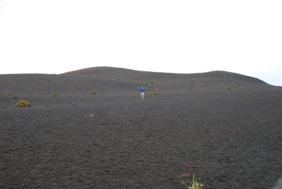 Lava field Hawaii