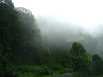 Cloud Forest Costa Rica