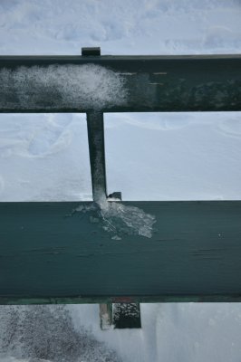 Winter 2010