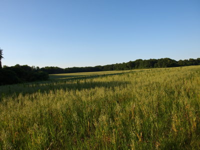 g10/00/1032100/3/166859680.jO3rnBGK.jpg