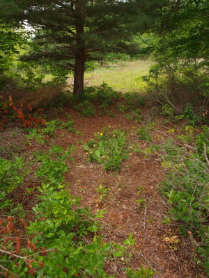 g10/00/1032100/3/166862874.jIVecGrf.jpg
