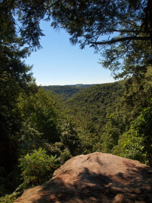 Deep Gorge with Hardwood Forest
