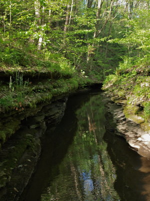 Stream with Sandstone Ledges