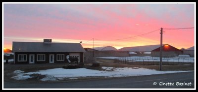 Finalement , un bon matin, il dcide de nous gter avec ses belles couleurs.