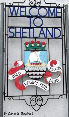 les Shetland ,cosse