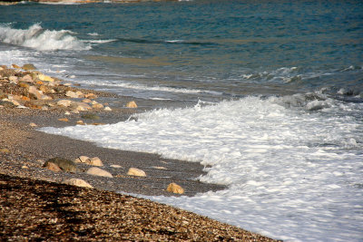 IMG_2463_669.JPG