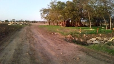 20161115_174959.jpg