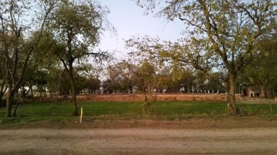 20161115_174645.jpg