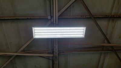 0017_IMG.jpg