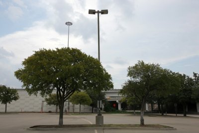 M1.jpg