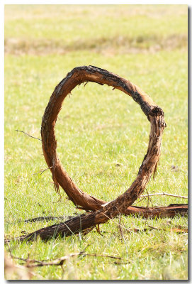 DSC_6280_F.jpg
