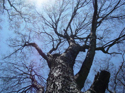 The Reserve at Pettit Creek 056.jpg