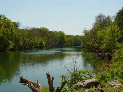The Reserve at Pettit Creek 076.jpg