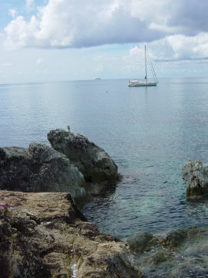 Little Lameshur Reef