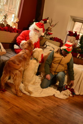 Toby, Shilo, Niko, and Shea