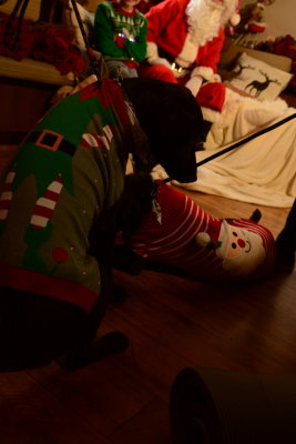 DSC_8985.JPG