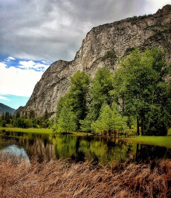 Yosemite National Park