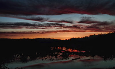 Wetland Sunrise 