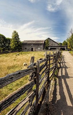 Down on the Farm