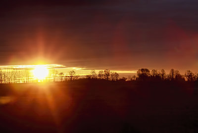 Sun and Silhouette 