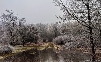 After the Storm
