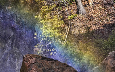 Rainbow in the Mist 