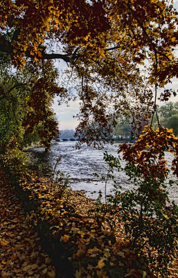 On the Speed River 