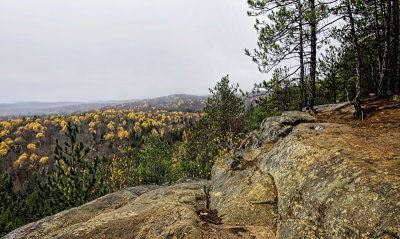 Algonquin Lookout 