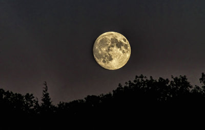 Full Moon Rising