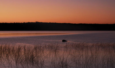 Orange Sunset 