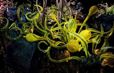 Chihuly 10.jpg