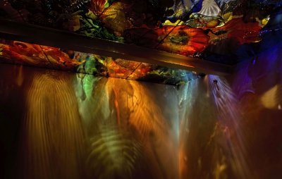 Chihuly 17.jpg
