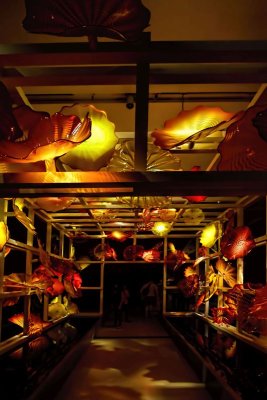 Chihuly 23.jpg