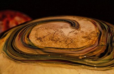 Chihuly 29.jpg