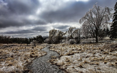 After the Ice Storm 