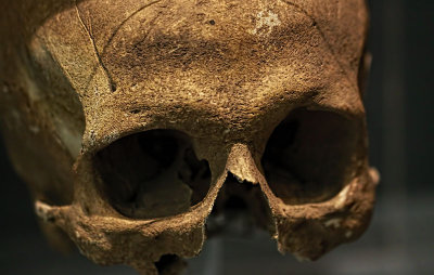 Corinthian Skull 