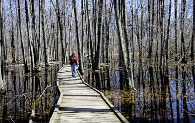 Walking the Crooked Path 