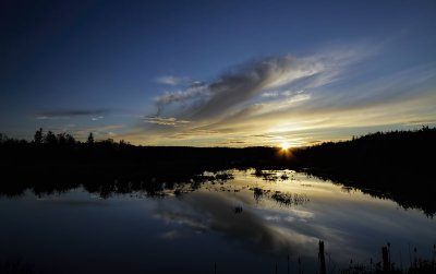 Sunrise on the Wetlands 