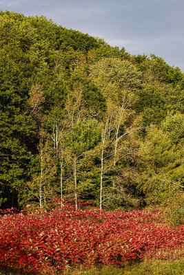 Red and Green